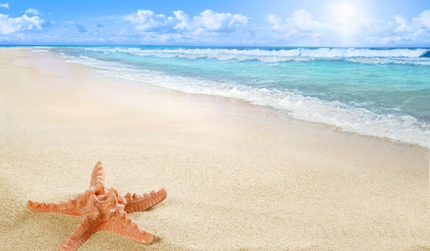 propiedad frente a la playa